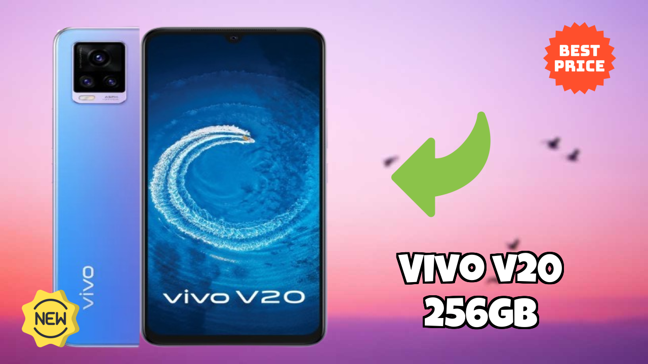 Vivo V20 256GB Display Quality: AMOLED Explained