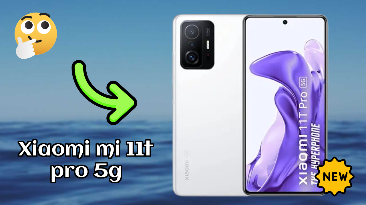 Xiaomi Mi 11T Pro 5G Camera Quality: 108 MP + 8 MP + 5 MP Rear Camera Photo Test